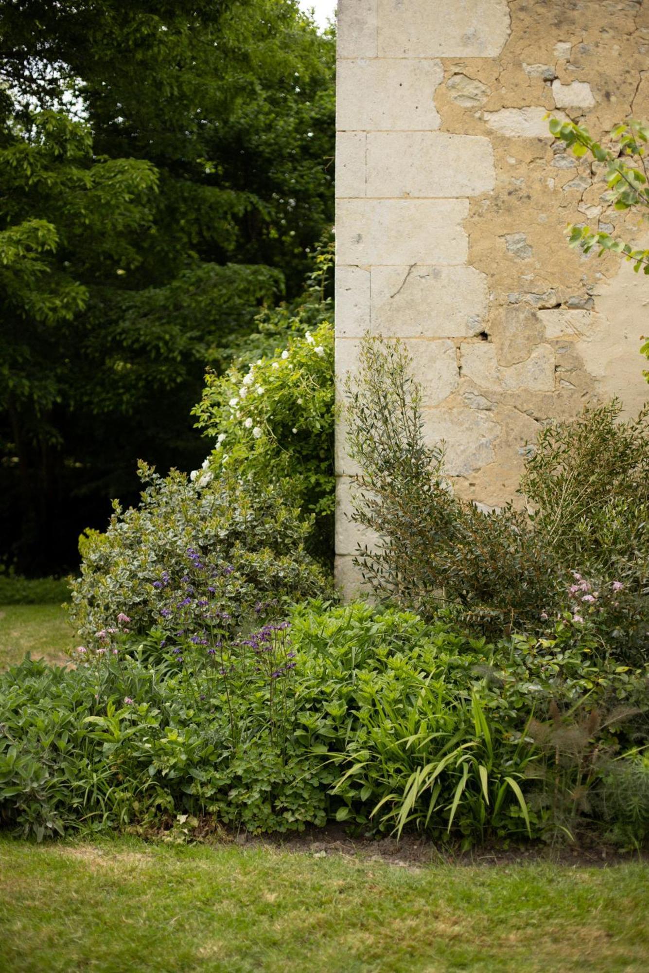 Hotel Le Manoir Du Plessis Dance  Exterior foto