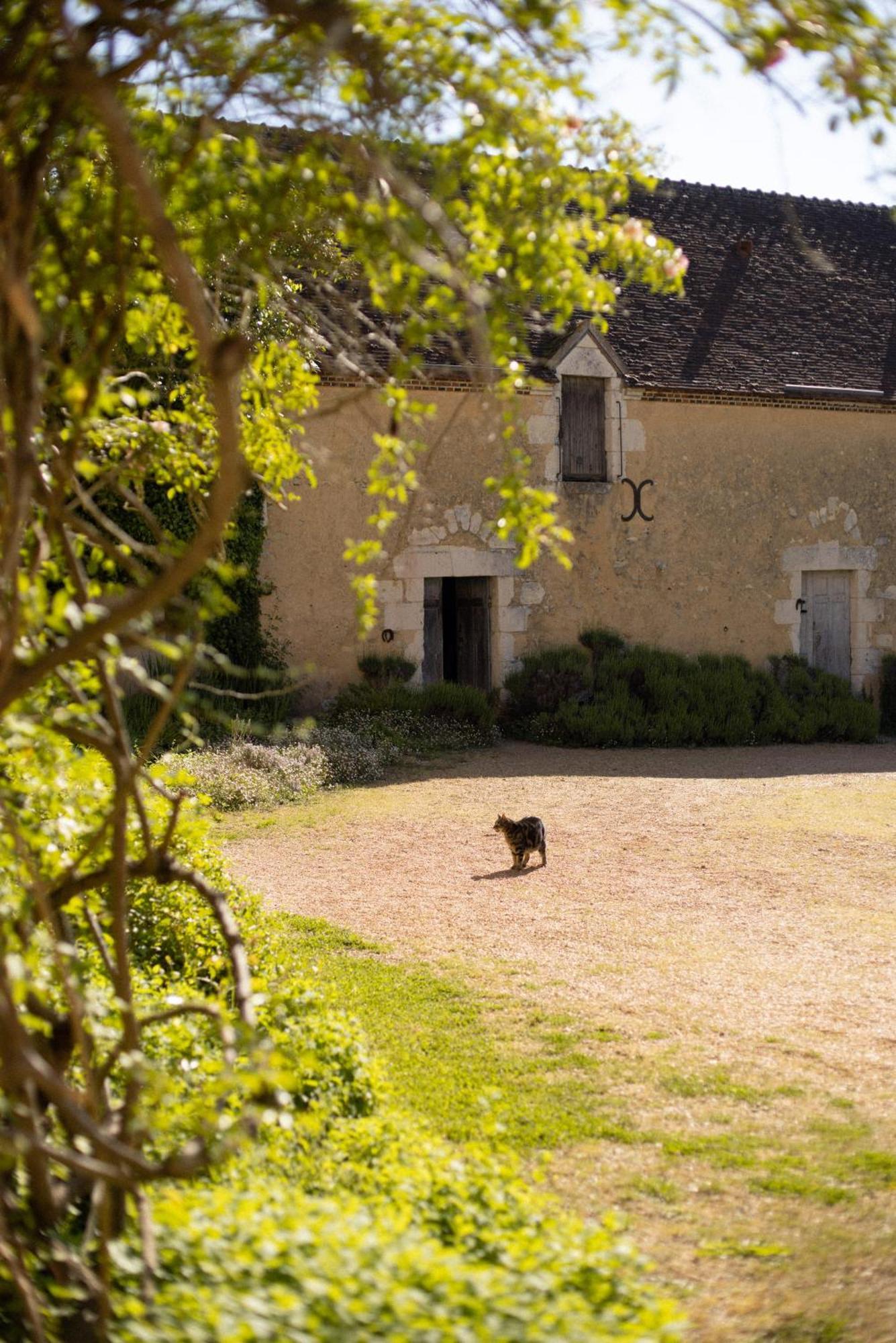 Hotel Le Manoir Du Plessis Dance  Exterior foto
